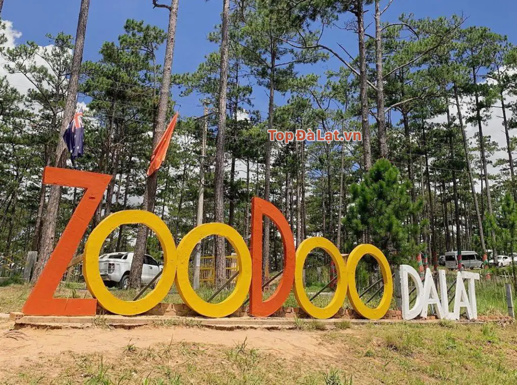 Vườn thú zoodoo – Địa điểm vui chơi Đà Lạt