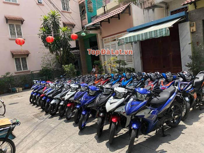 Dịch vụ cho thuê xe máy Ngọc Anh – Giao xe tận nơi ở Đà Lạt