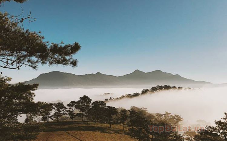 15 Địa điểm săn mây Đà Lạt đẹp & thơ mộng nhất