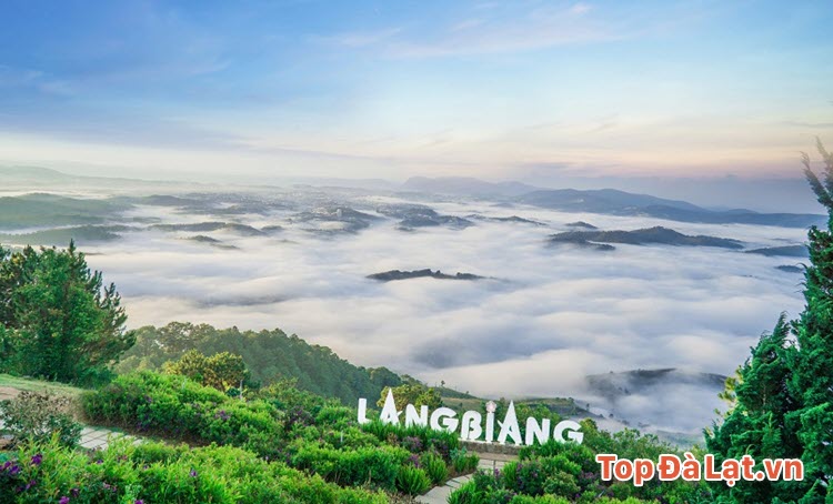 Săn mây Núi LangBiang Đà Lạt